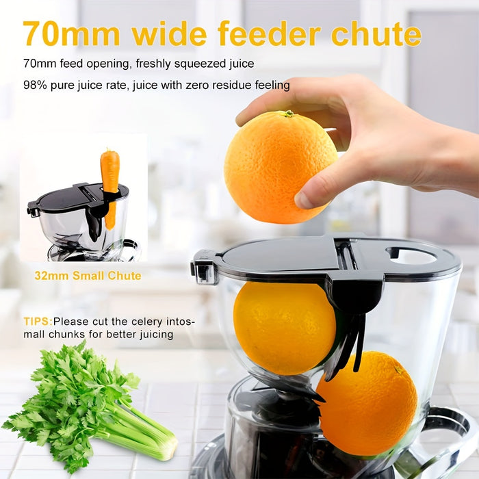 High Purity Masticating Juicer Machine