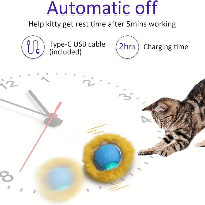 Whisker Wizard Interactive Cat Toy