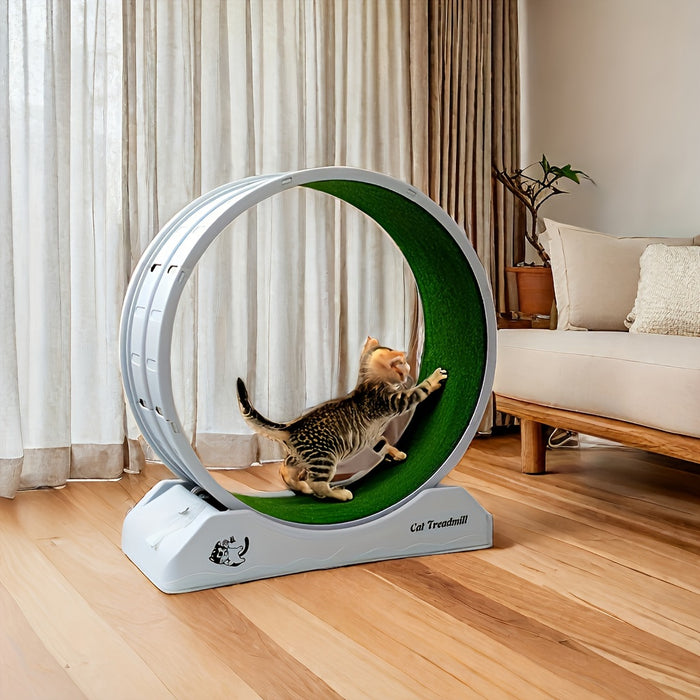 Cat Running Wheel with Carpeted Runway & Locking