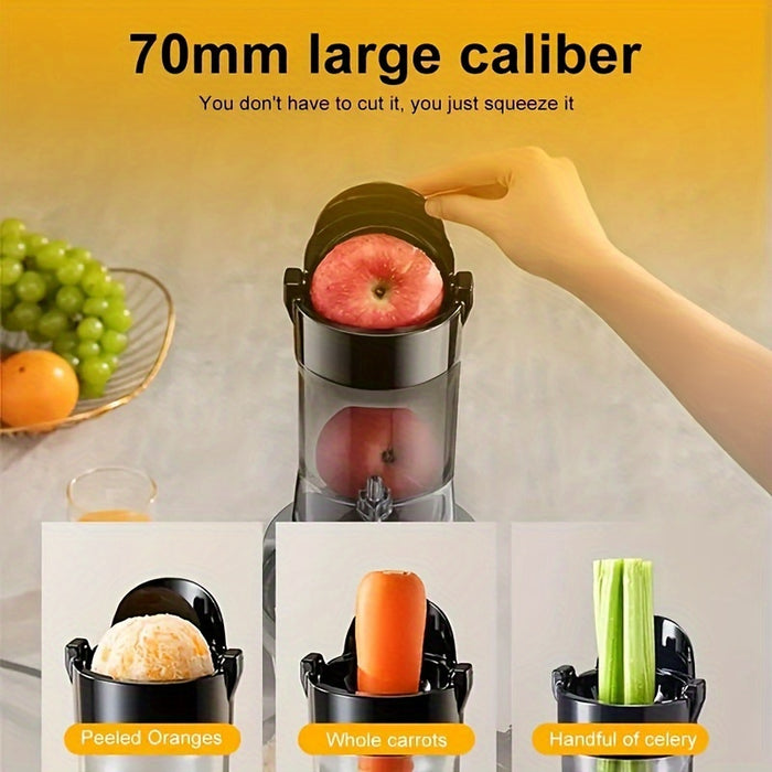 High Purity Masticating Juicer Machine